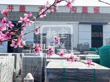 花滿枝頭，春意盎然